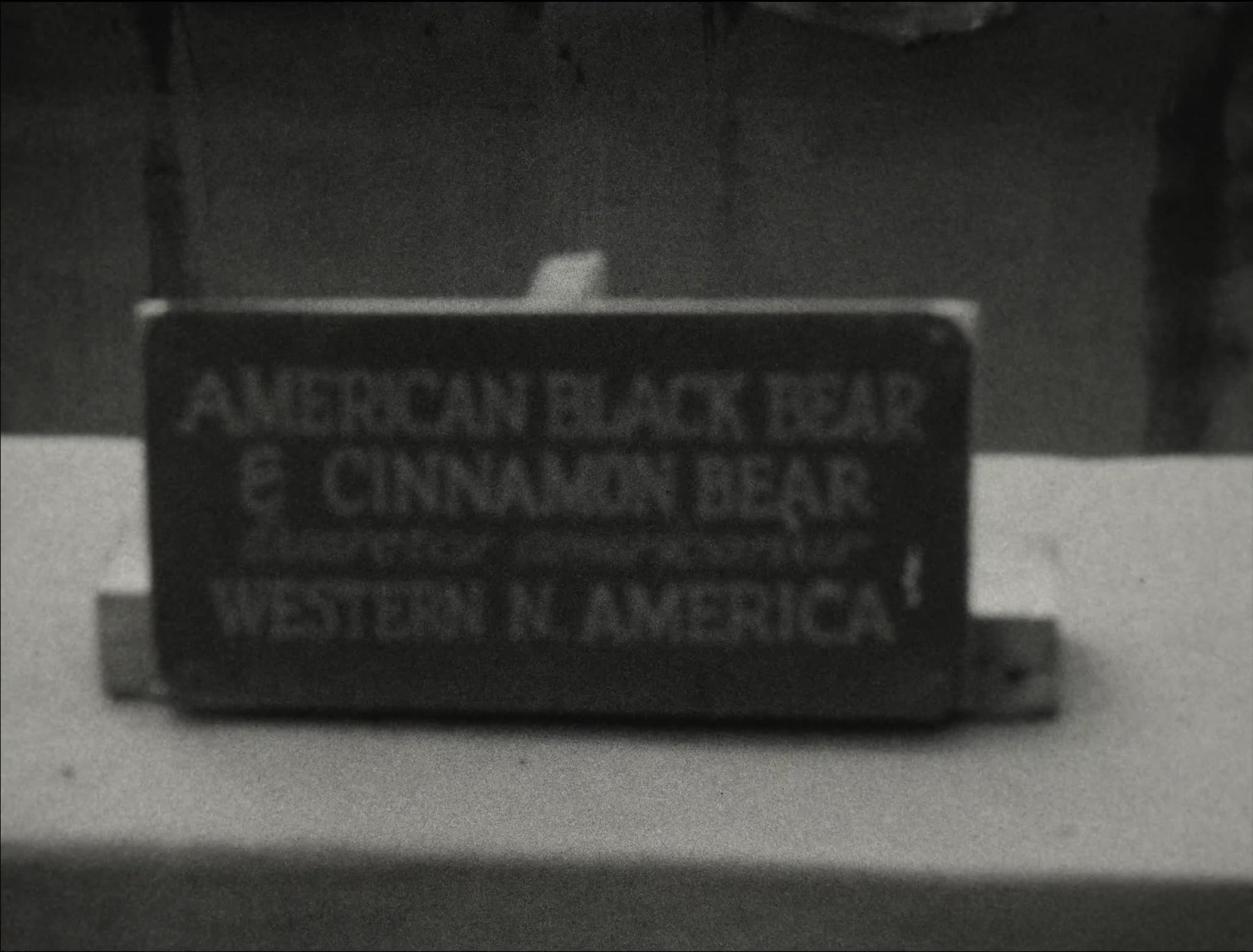 media 288361 thumbnail image