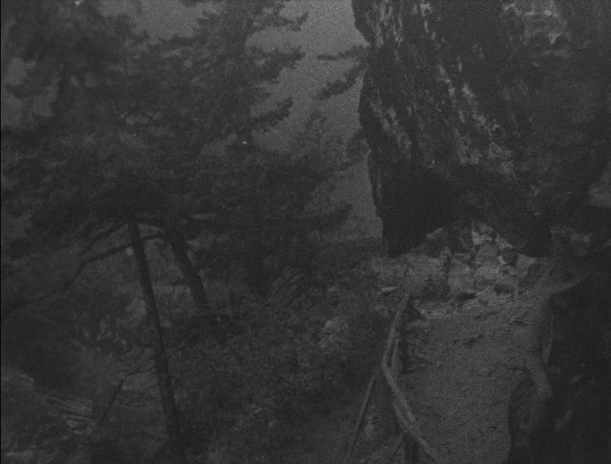 media 288366 thumbnail image