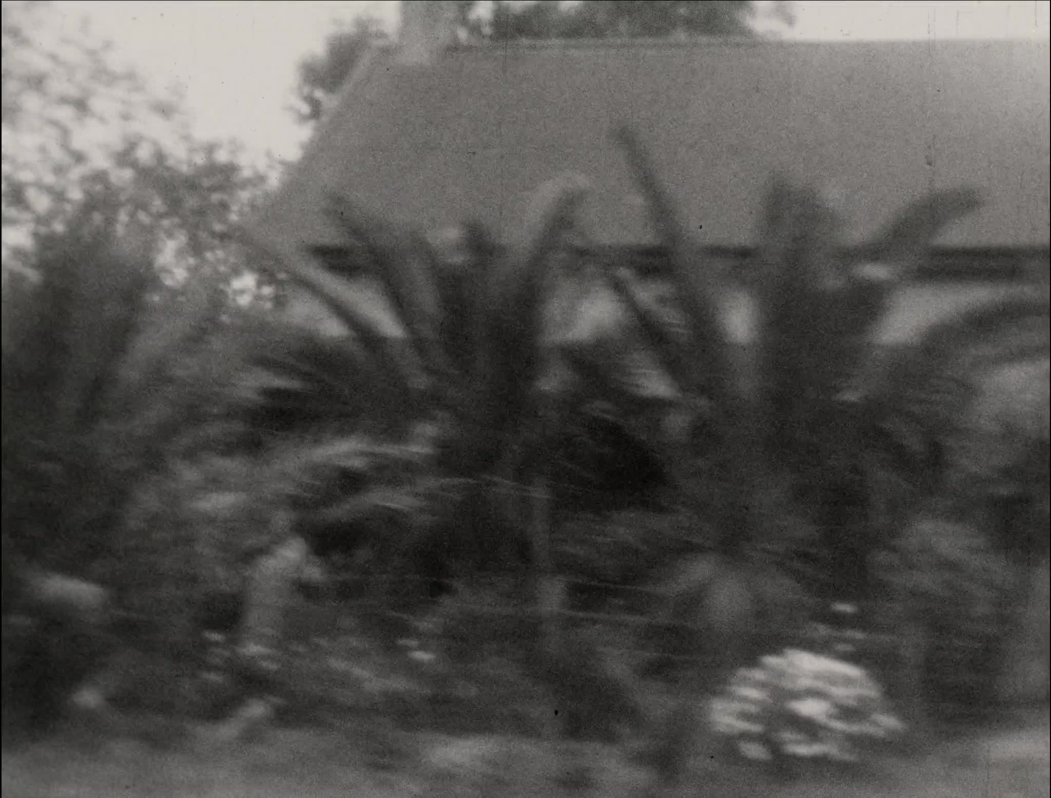 media 288372 thumbnail image