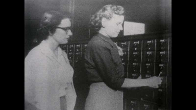 media 289568 thumbnail image