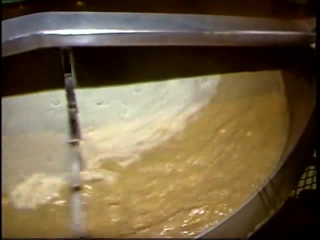 Click thumbnail to access digitized item