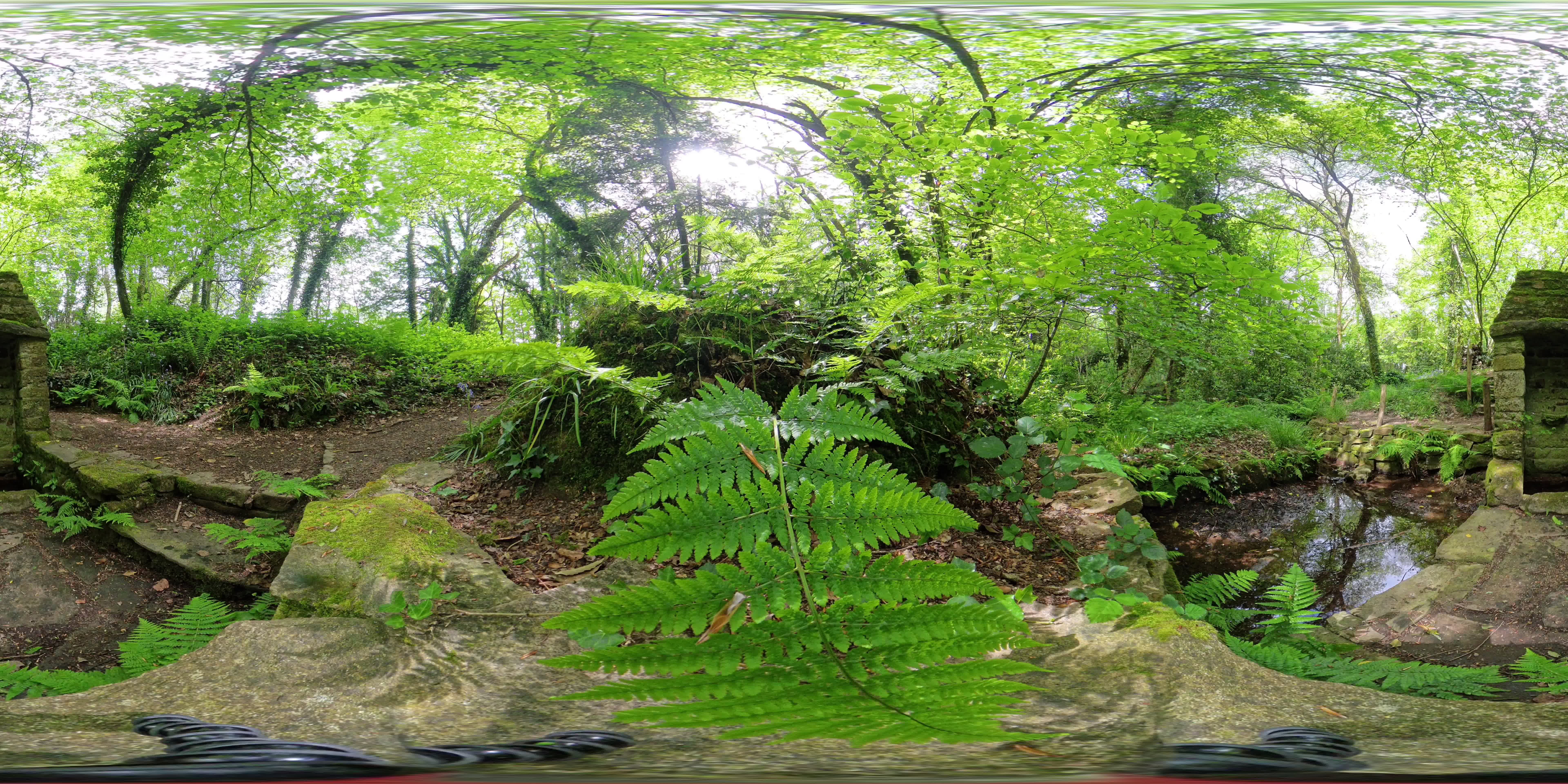 media 291494 thumbnail image