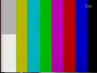 media 291969 thumbnail image