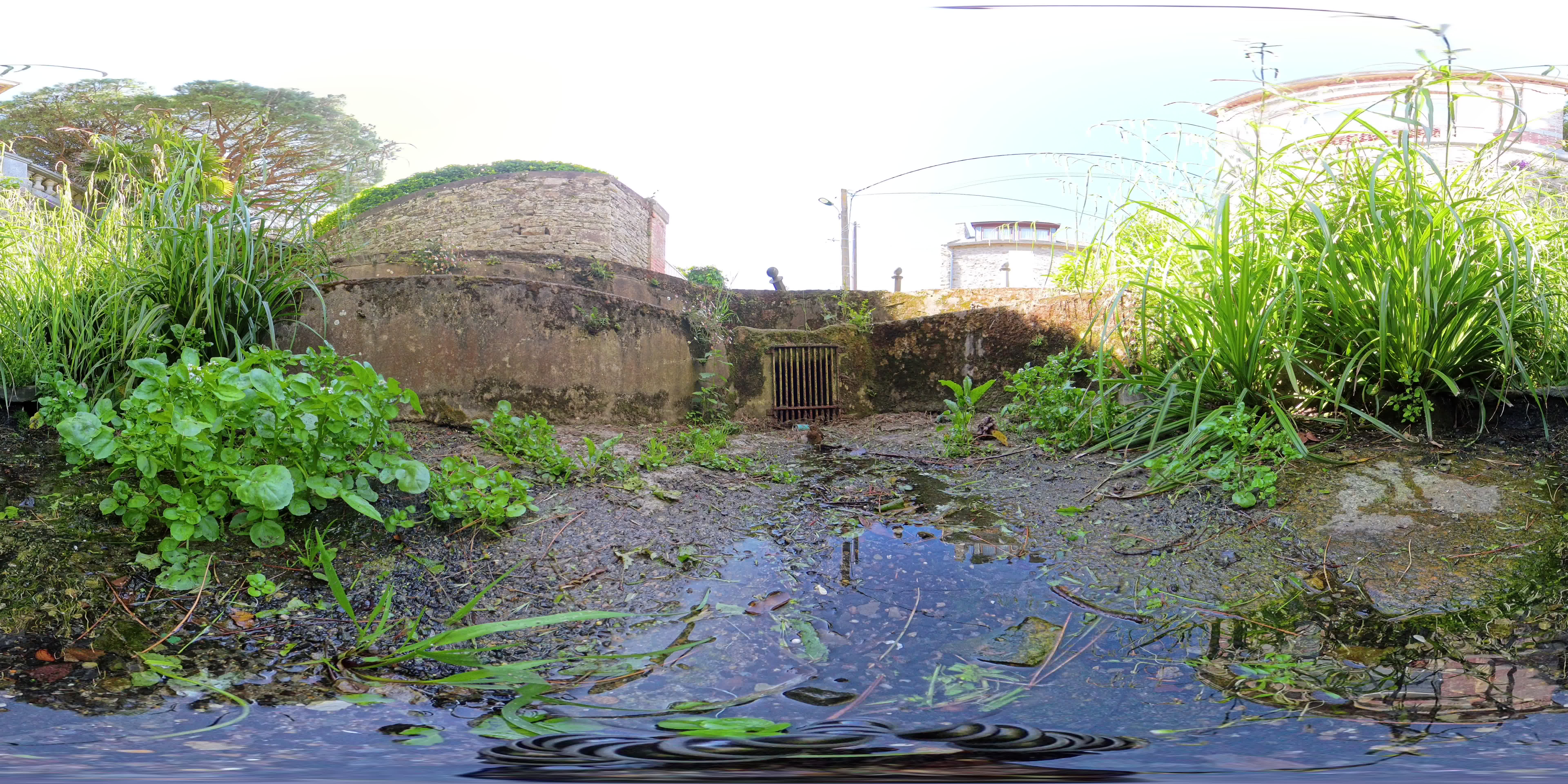media 292015 thumbnail image