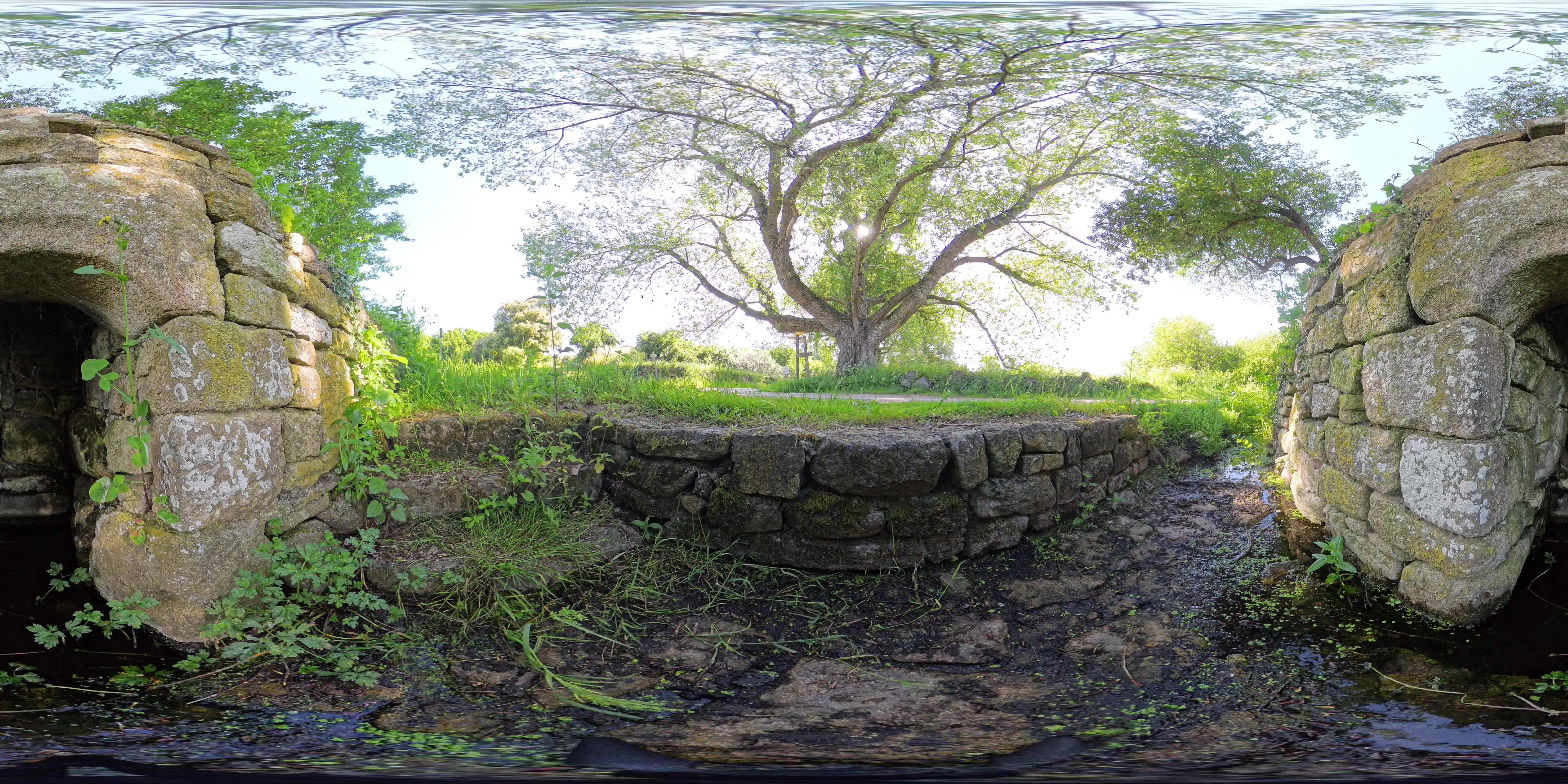 media 292041 thumbnail image