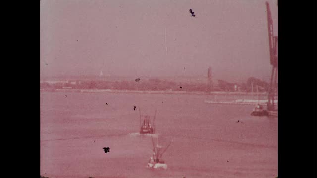 media thumbnail