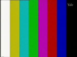 media 295988 thumbnail image