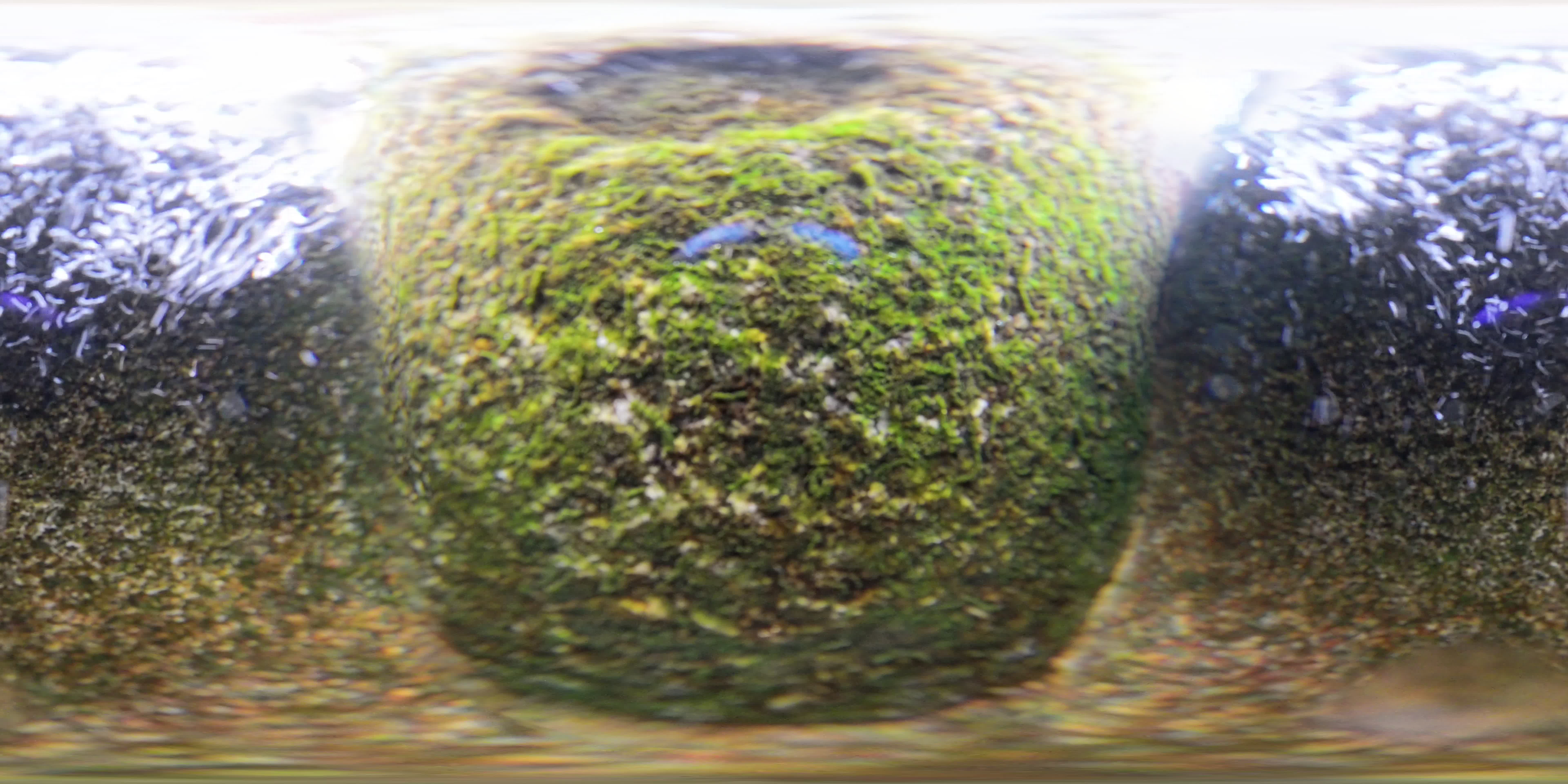 media 297494 thumbnail image