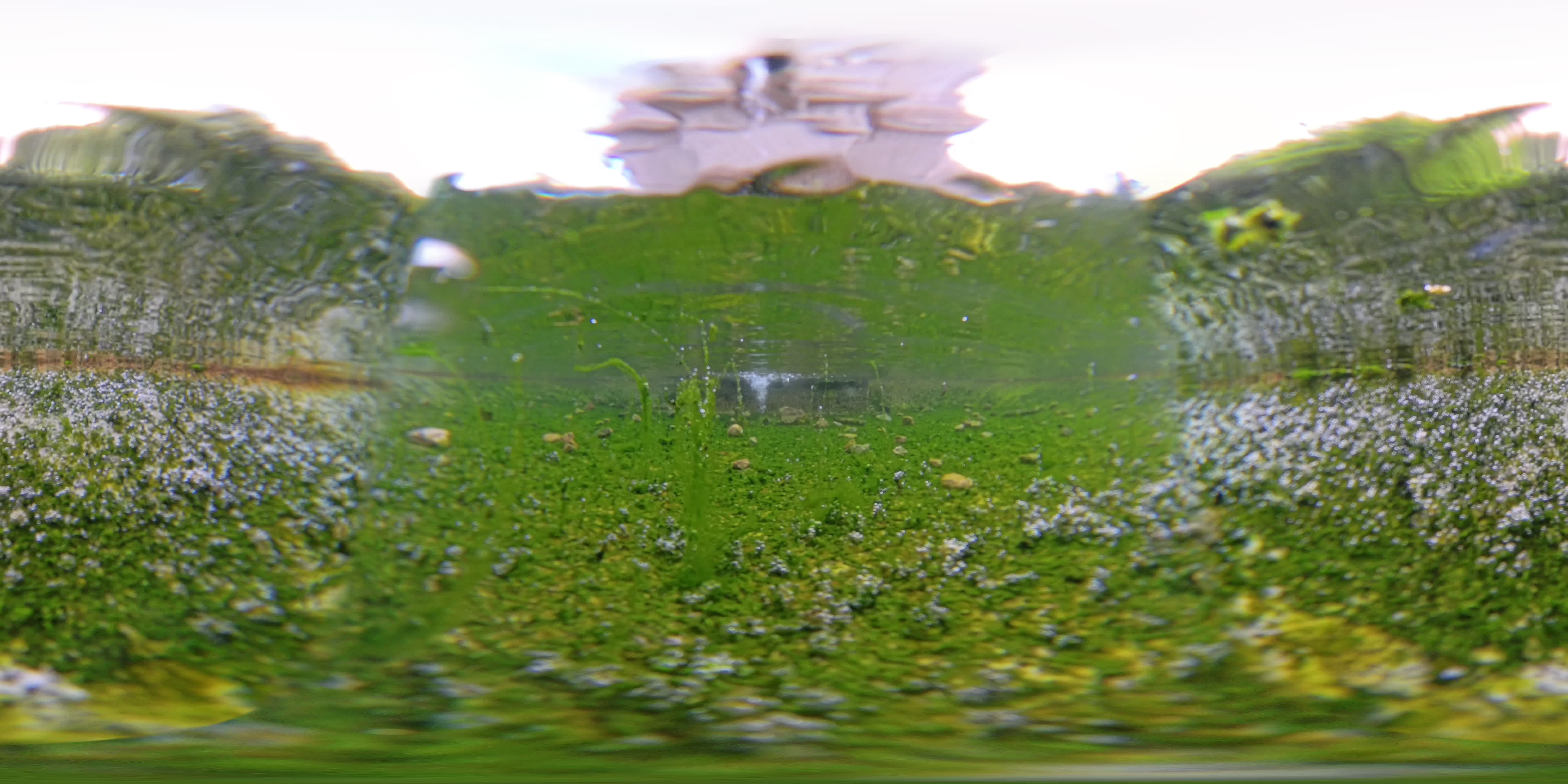 media 297495 thumbnail image