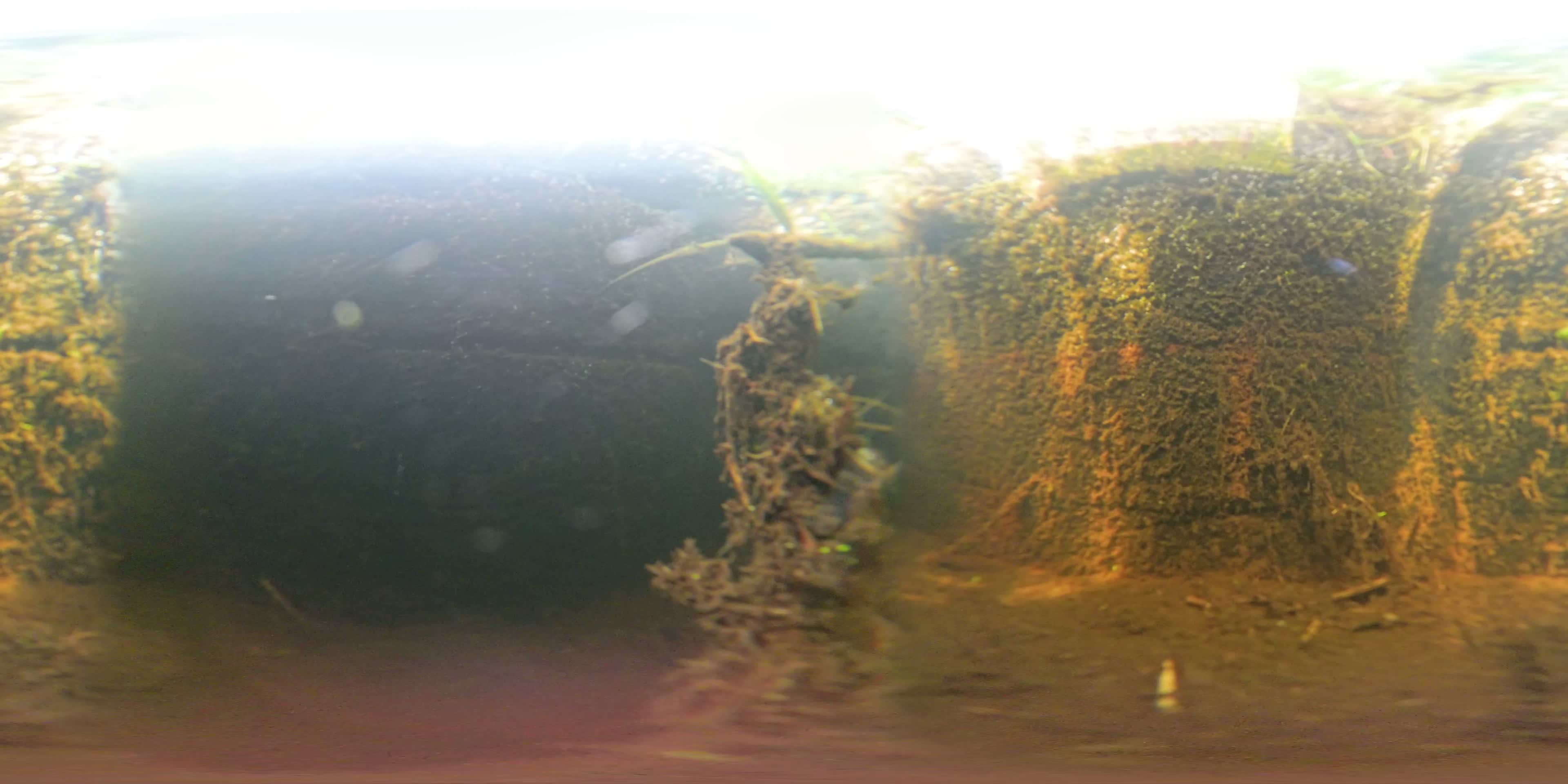 media 297681 thumbnail image