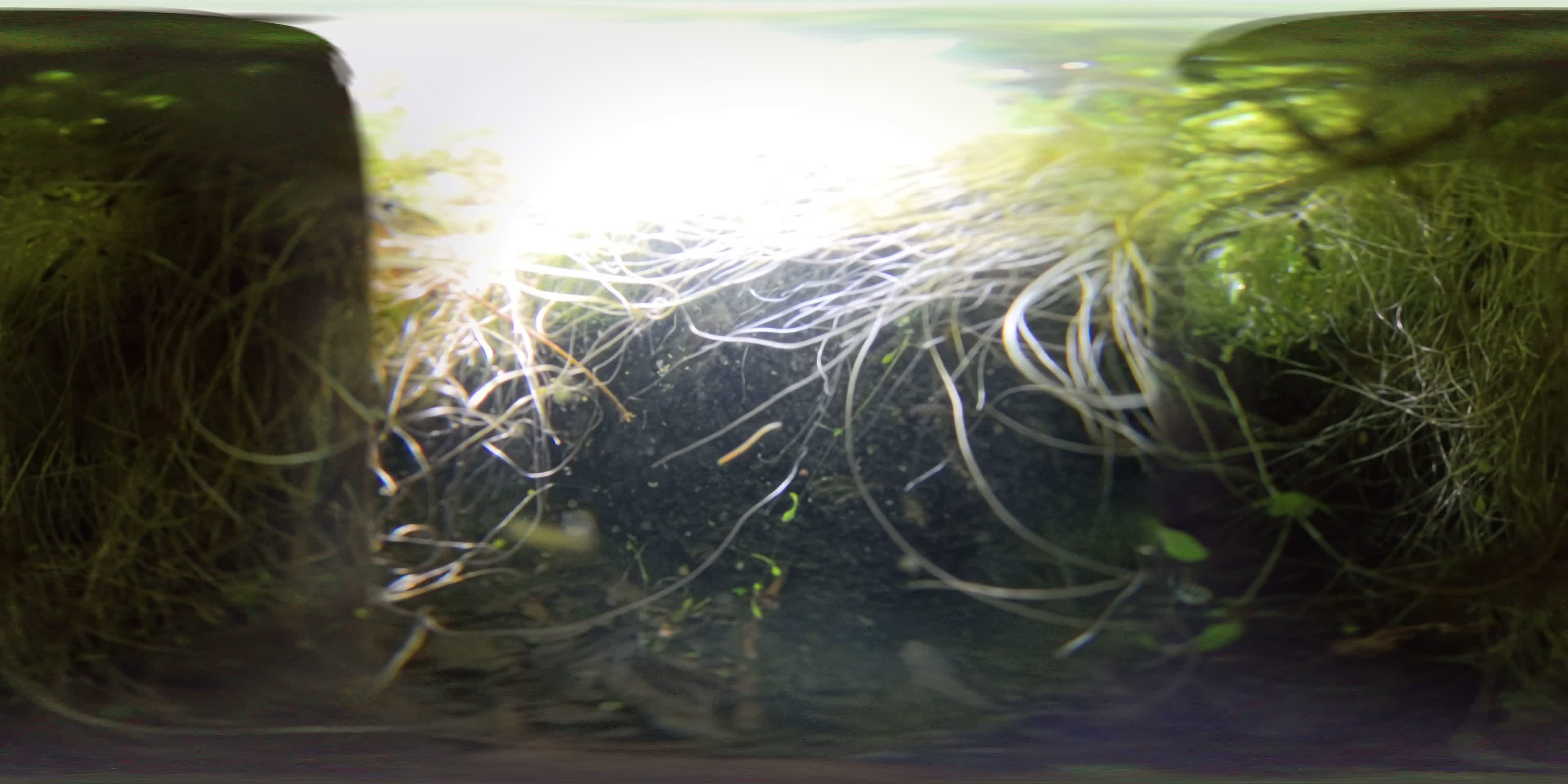 media 297688 thumbnail image