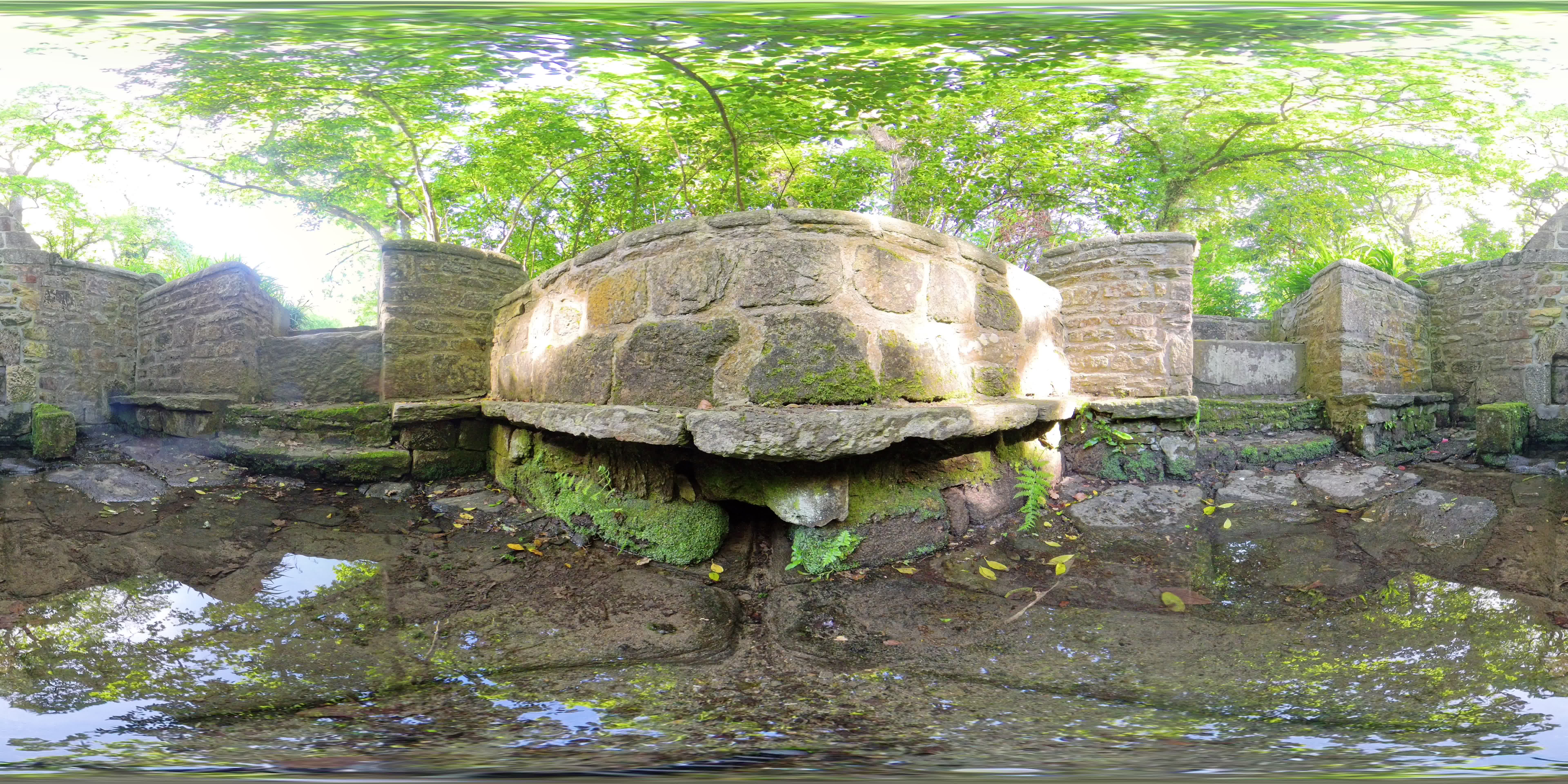 media 297920 thumbnail image