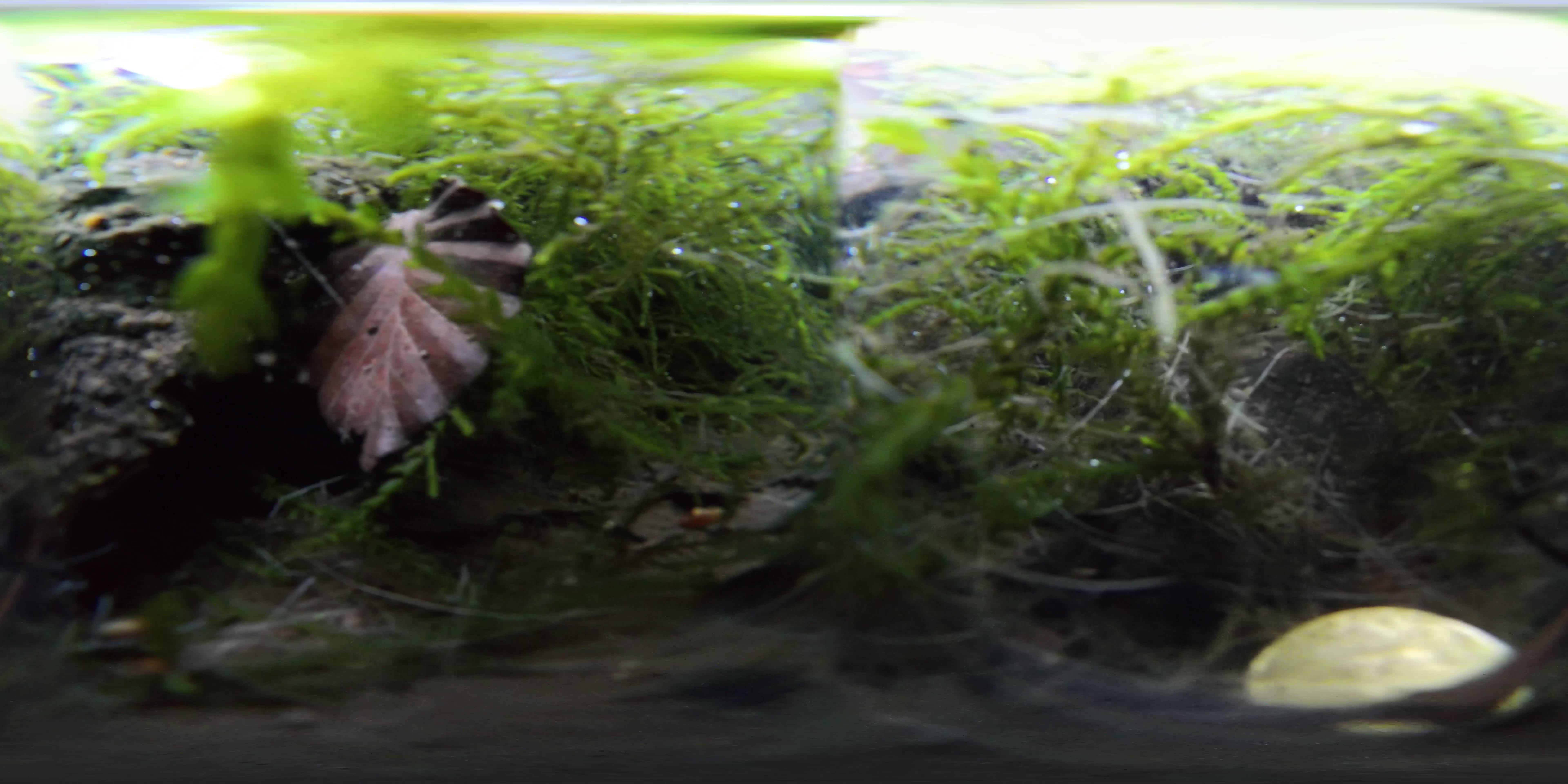 media 297944 thumbnail image