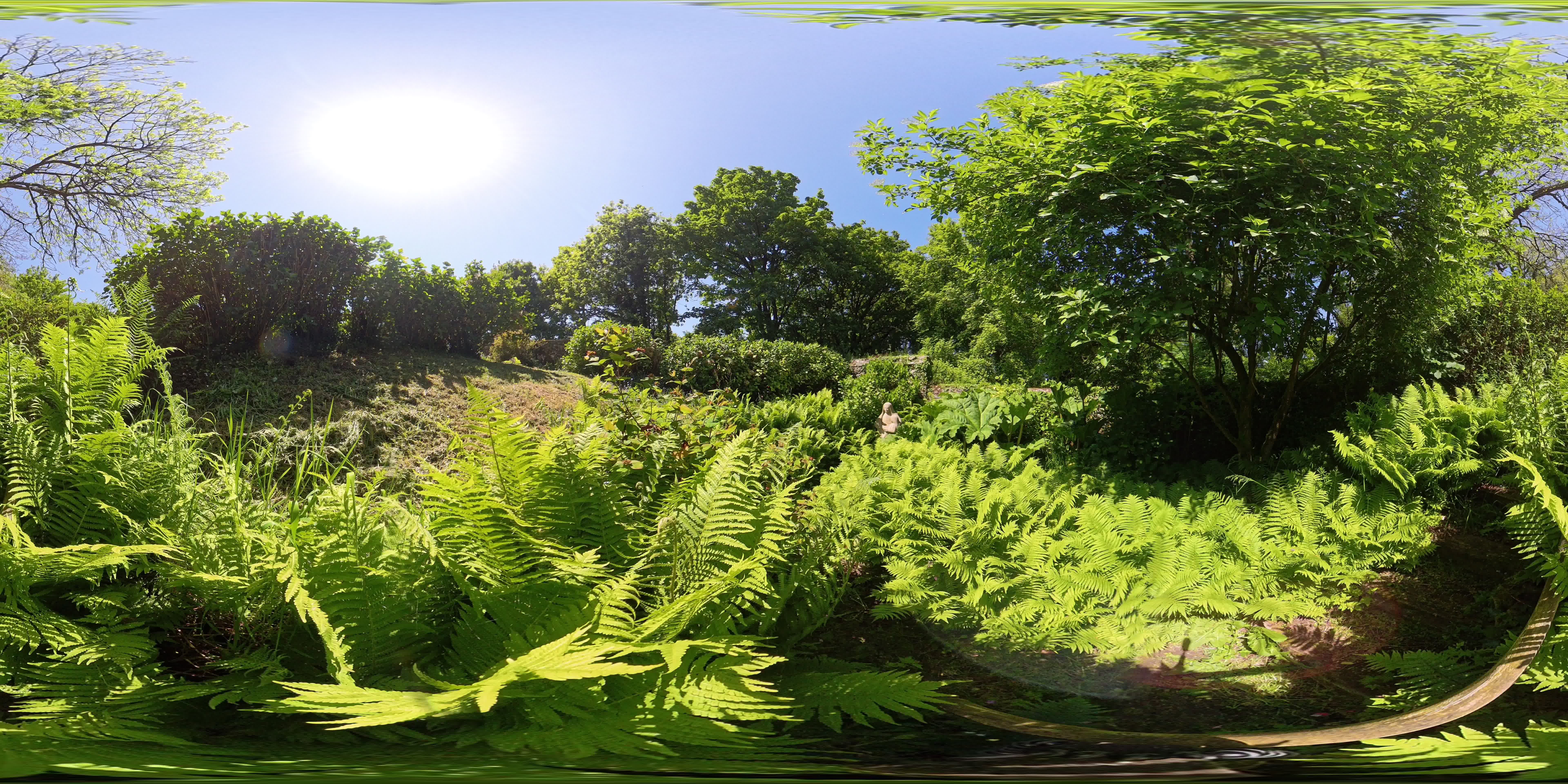media 298158 thumbnail image