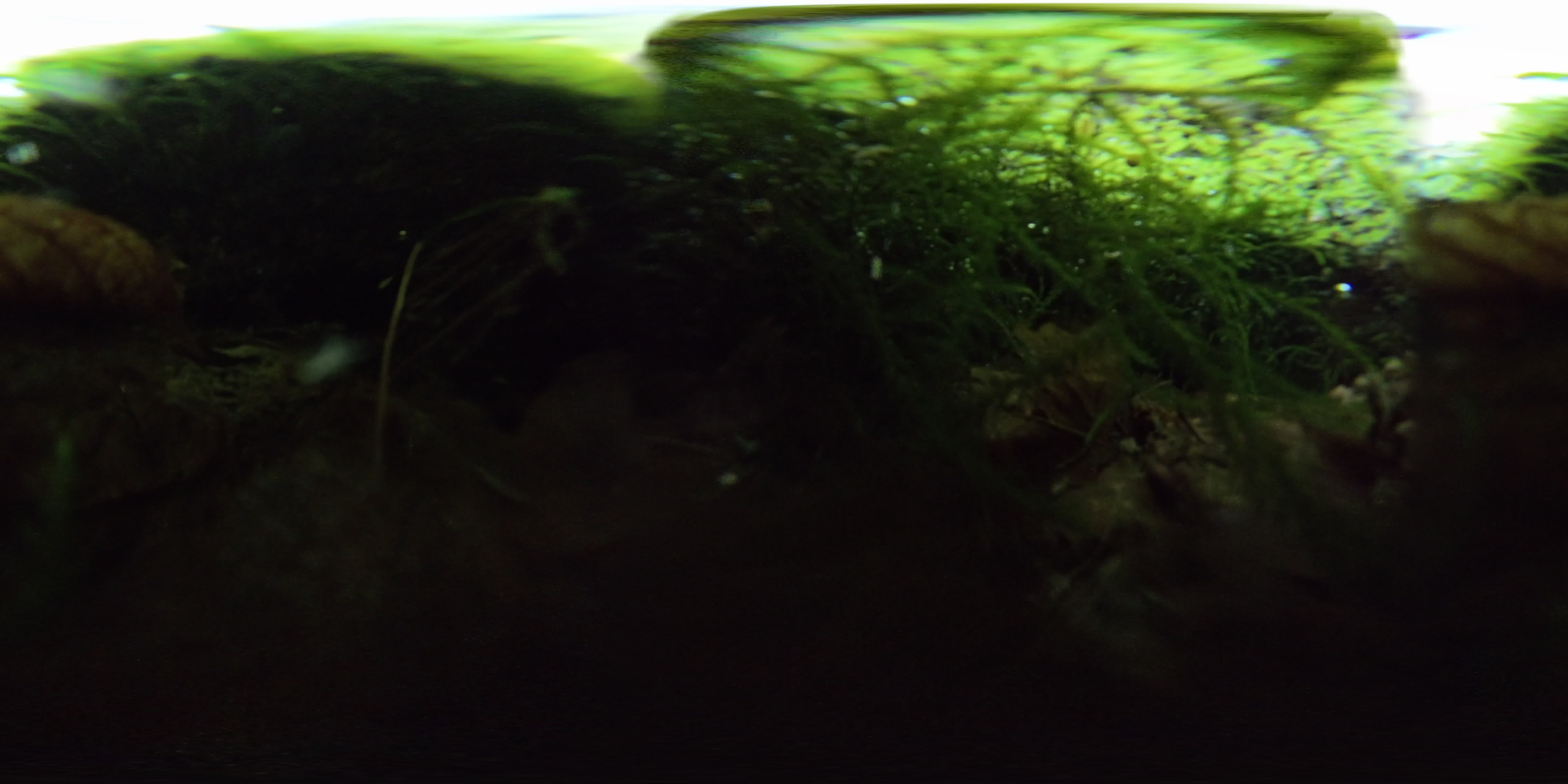 media 298163 thumbnail image