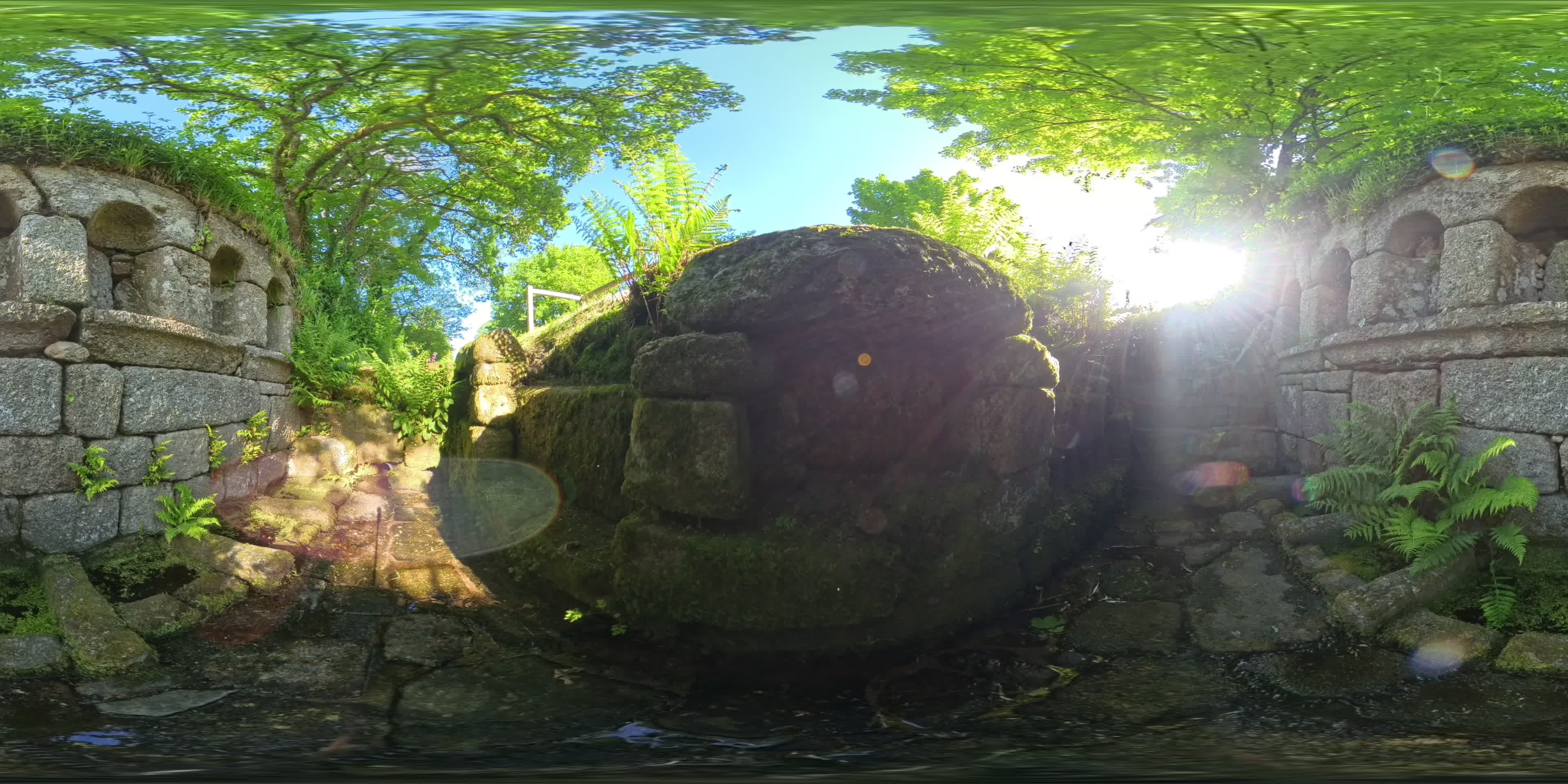 media 298165 thumbnail image