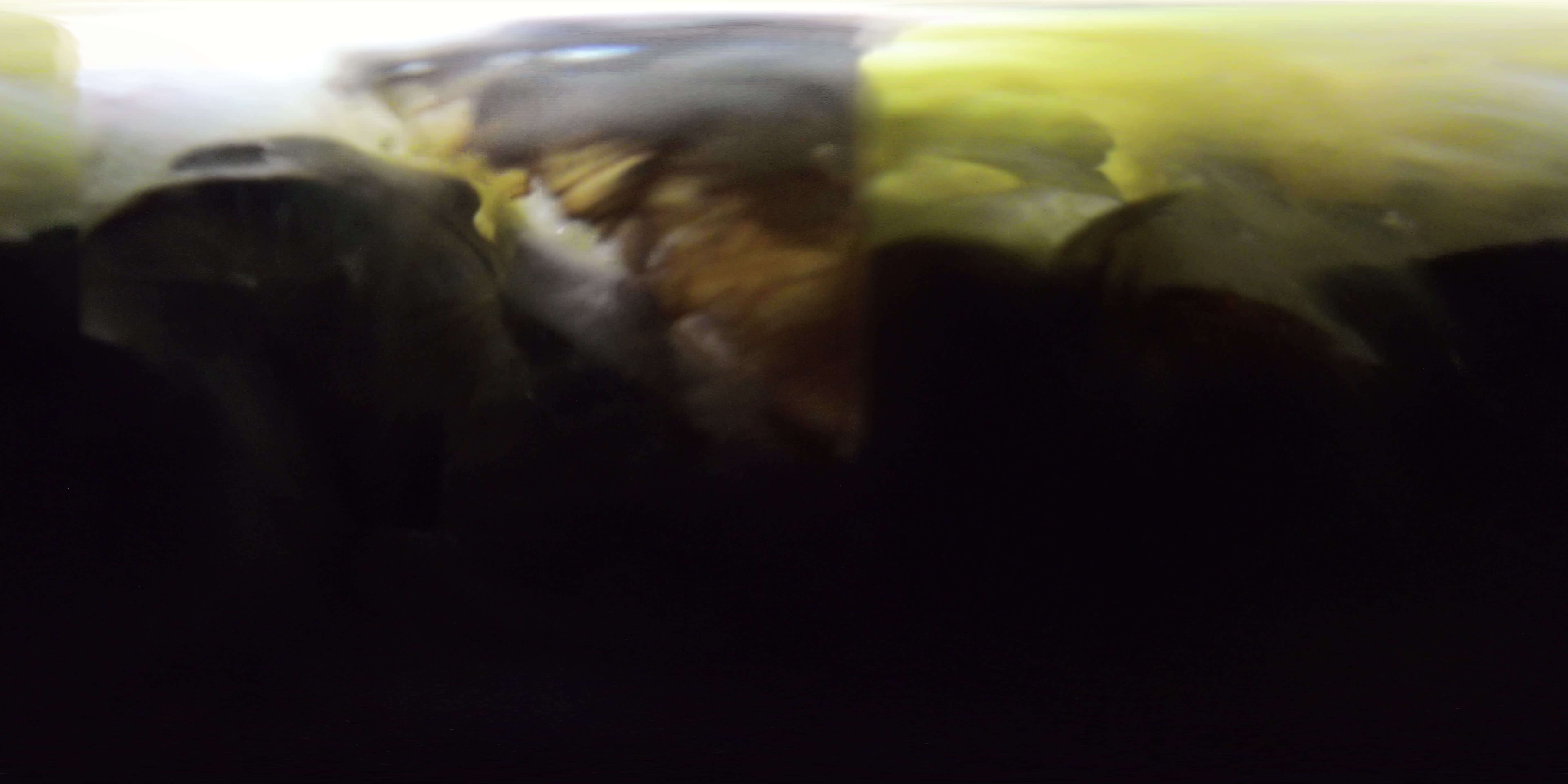 media 299577 thumbnail image