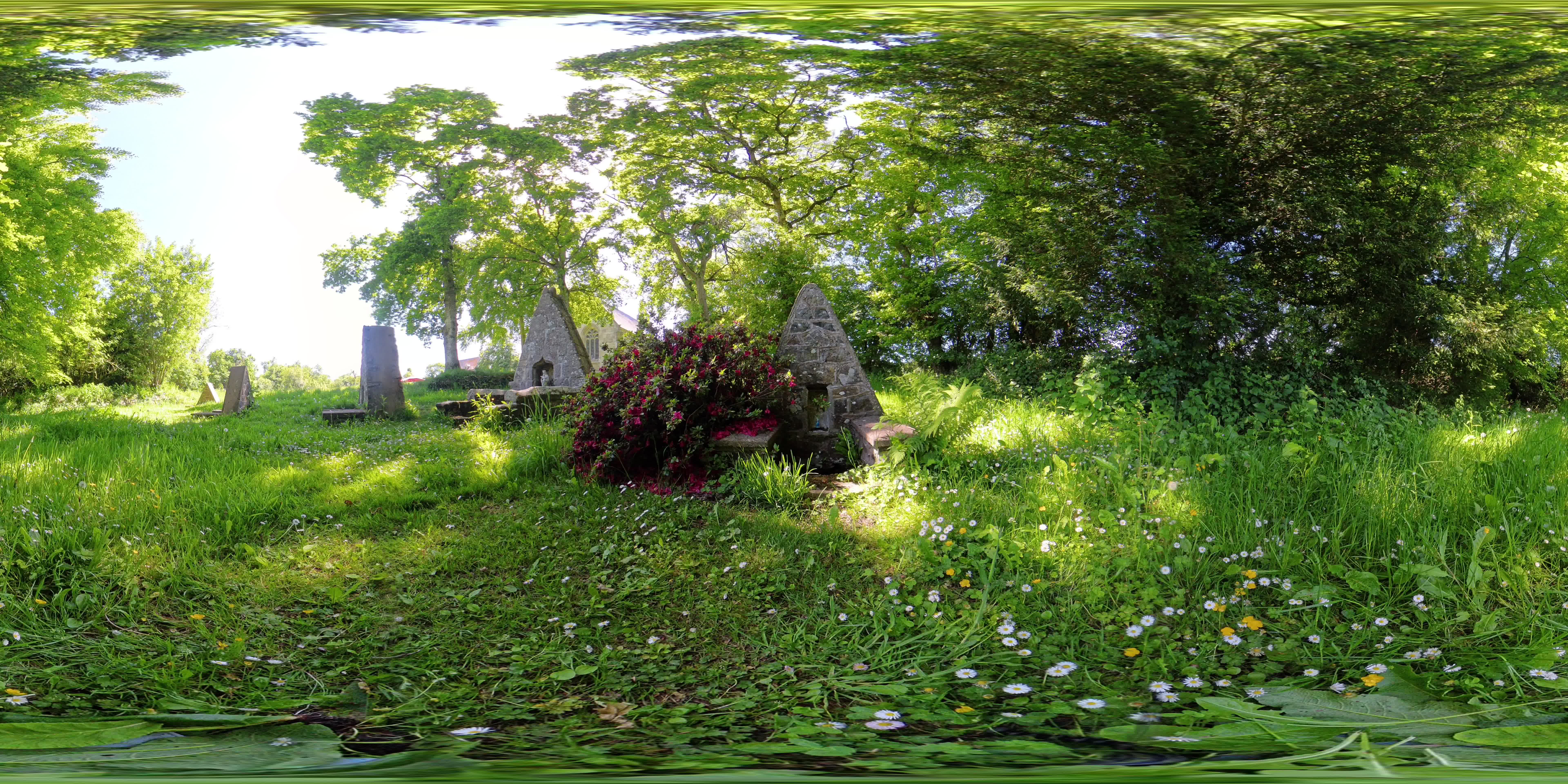 media 299578 thumbnail image