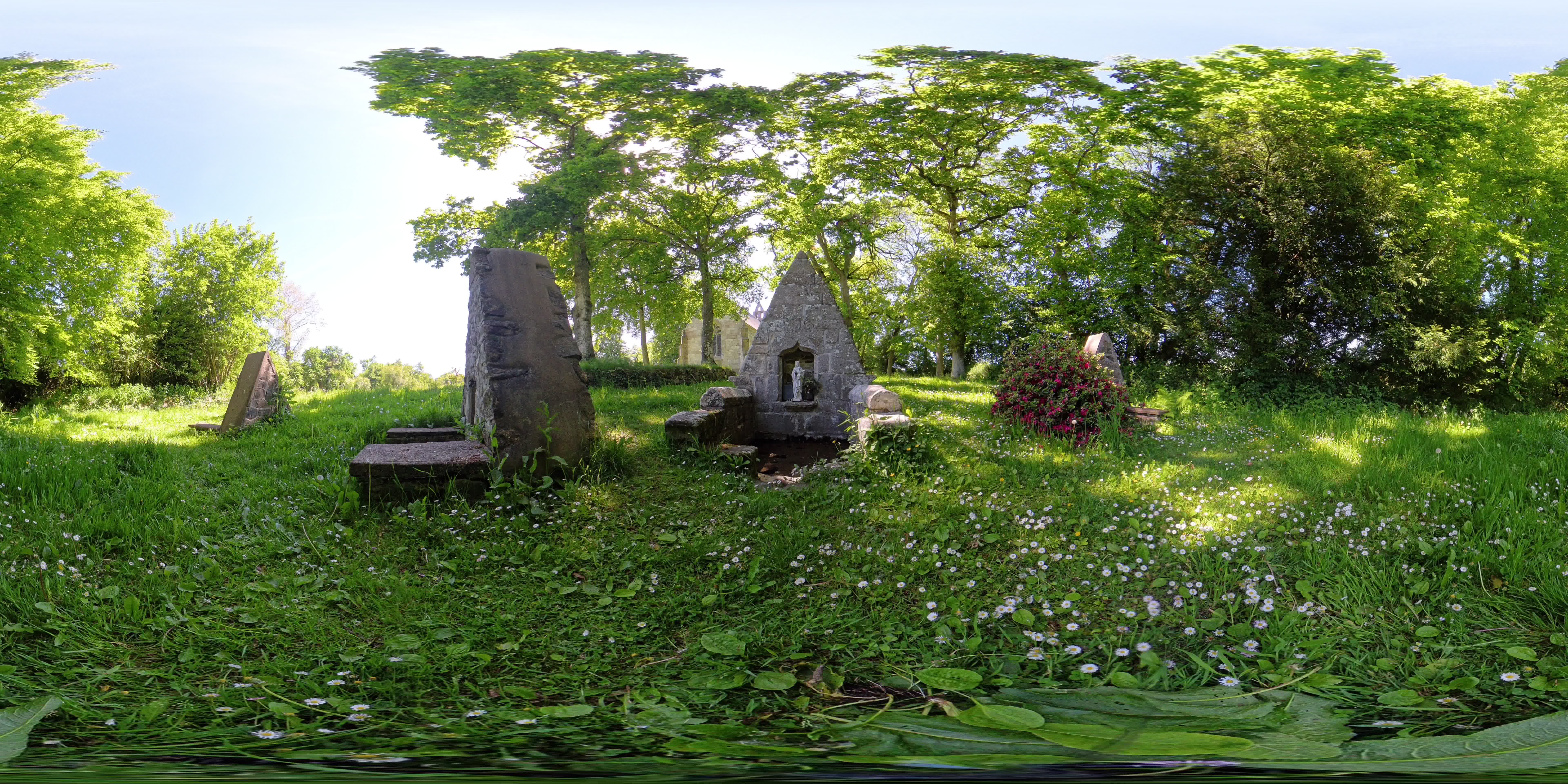 media 299581 thumbnail image