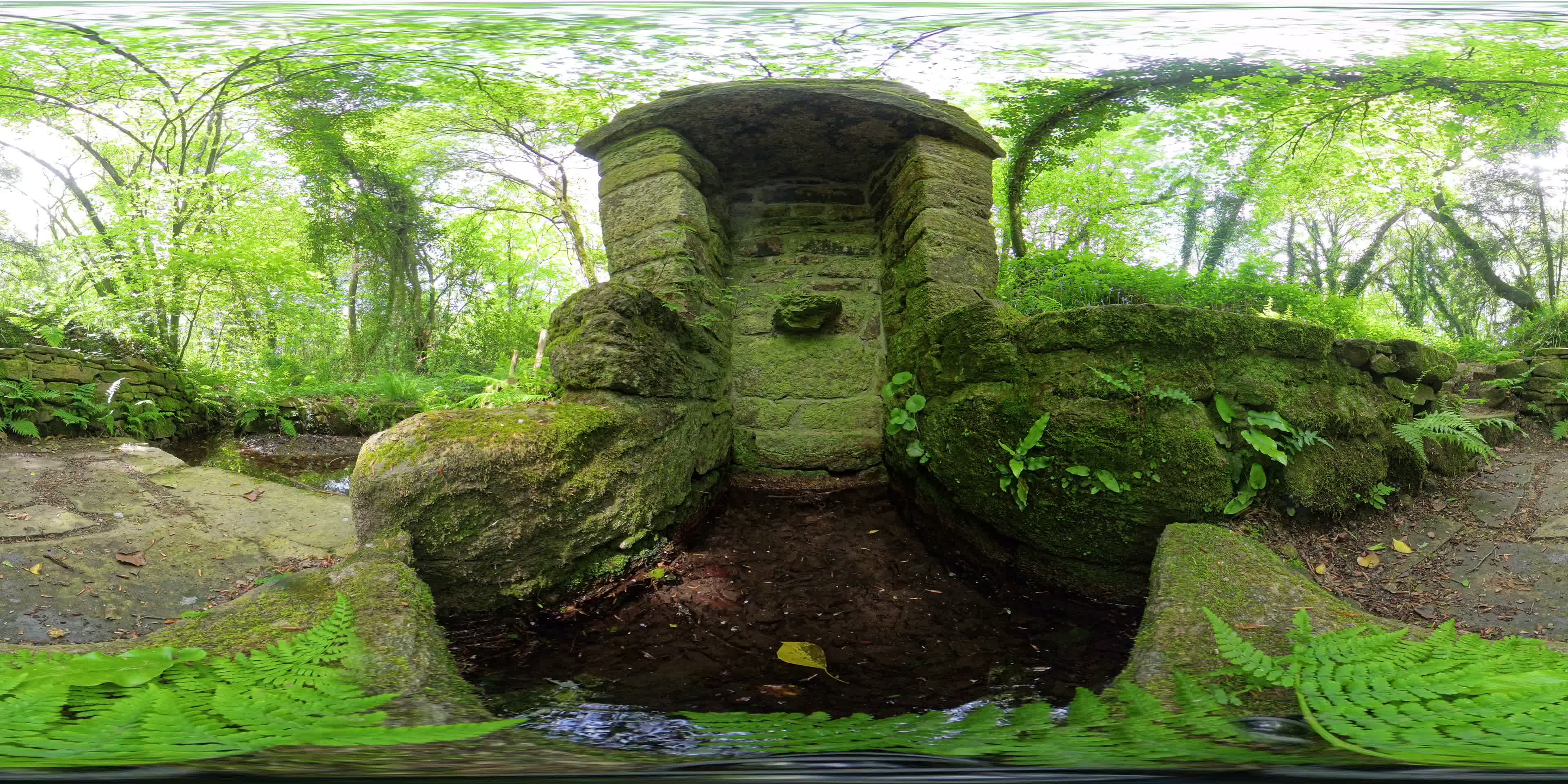 media 299856 thumbnail image