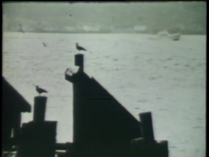 media thumbnail