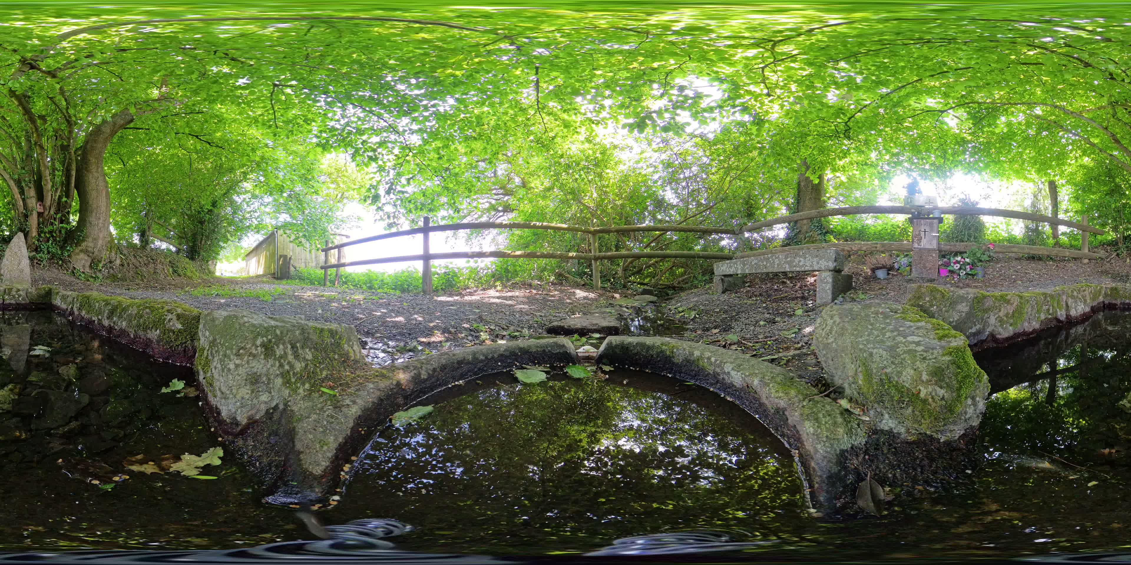 media 300097 thumbnail image