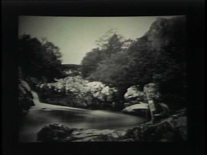 media thumbnail
