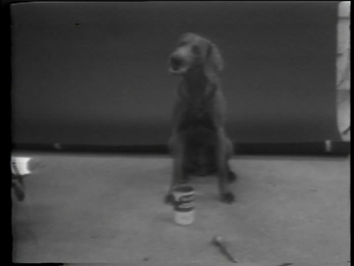 media 301110 thumbnail image