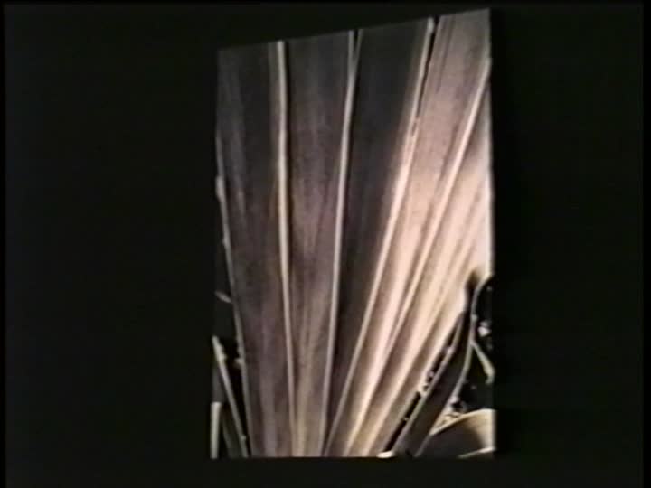 media 301116 thumbnail image
