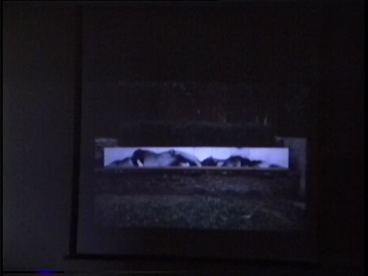 media 301188 thumbnail image