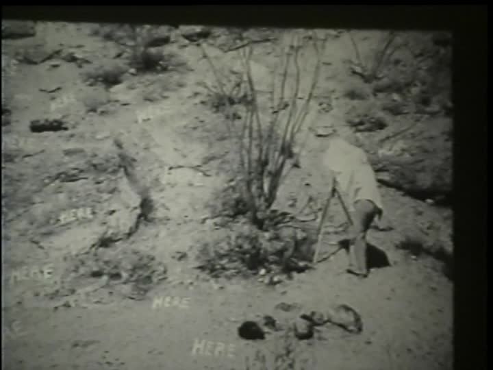 media 301379 thumbnail image