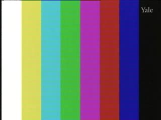 media 301511 thumbnail image
