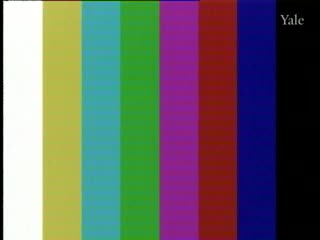 media 301517 thumbnail image