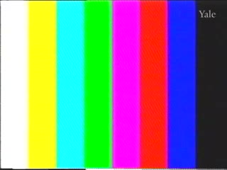 media thumbnail