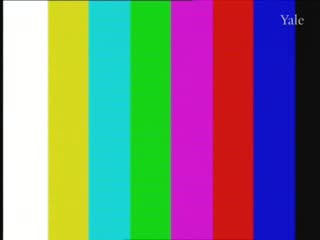 media thumbnail