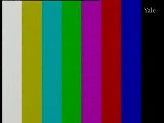 media thumbnail