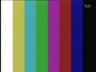 media 301633 thumbnail image