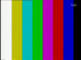 media 301655 thumbnail image