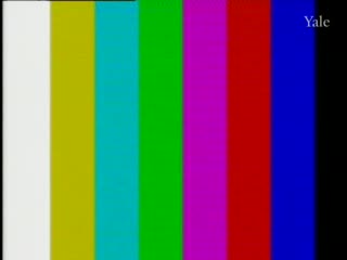 media 301656 thumbnail image
