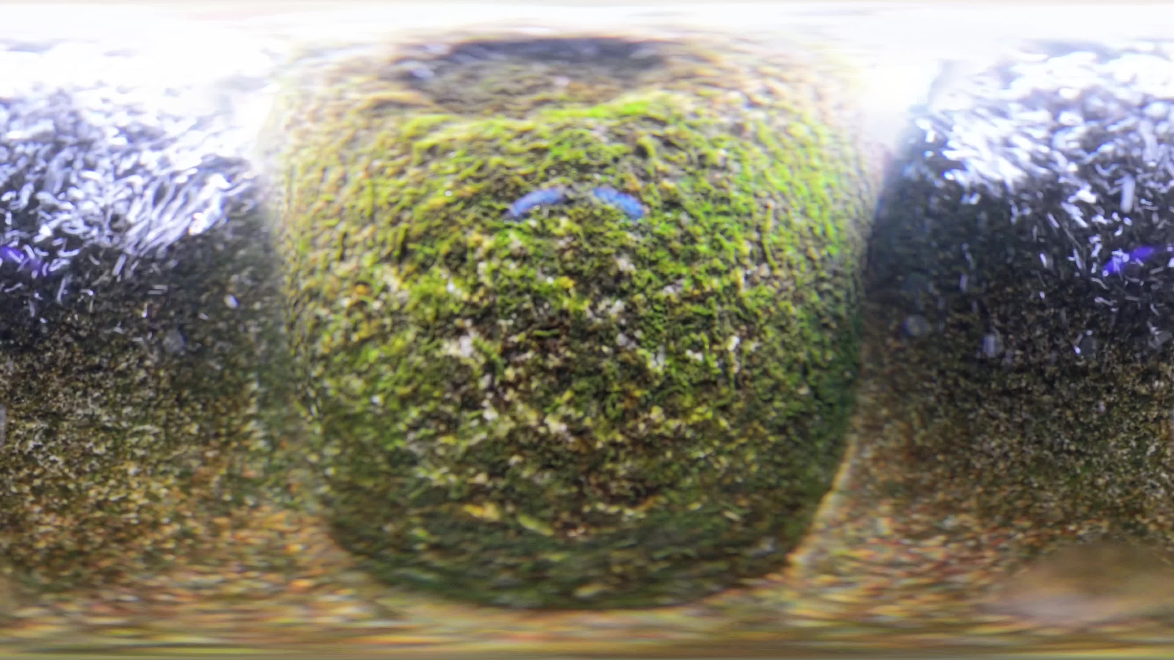 media 302238 thumbnail image