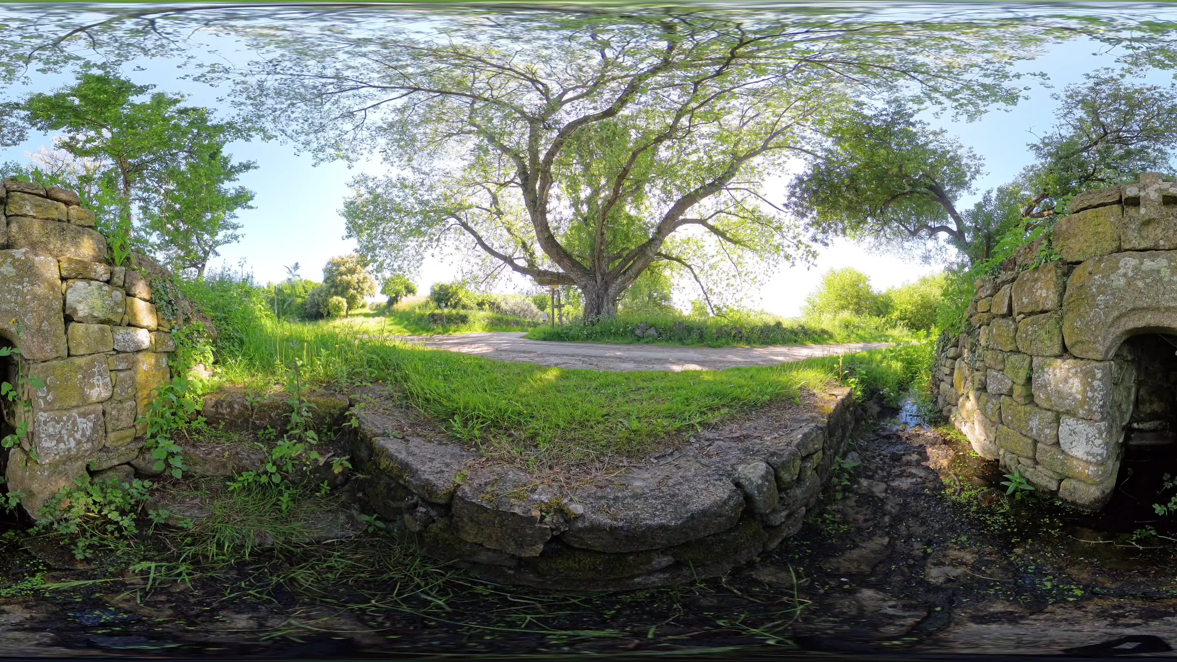 media 303384 thumbnail image