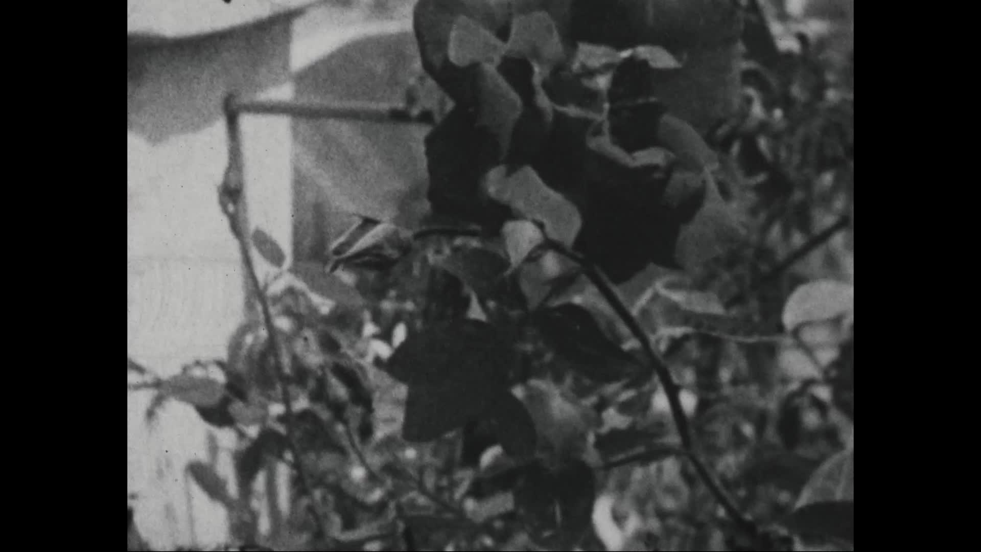 media thumbnail