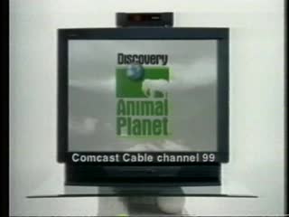 media thumbnail