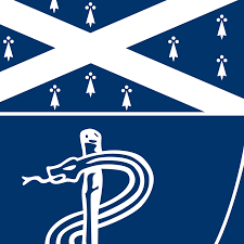 organization banner
