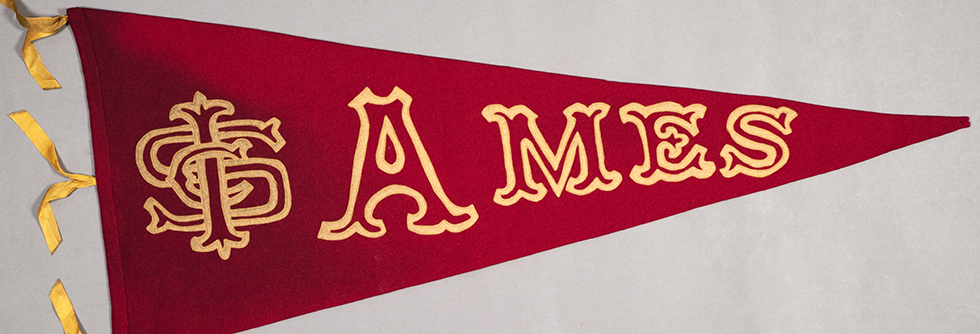 organization banner