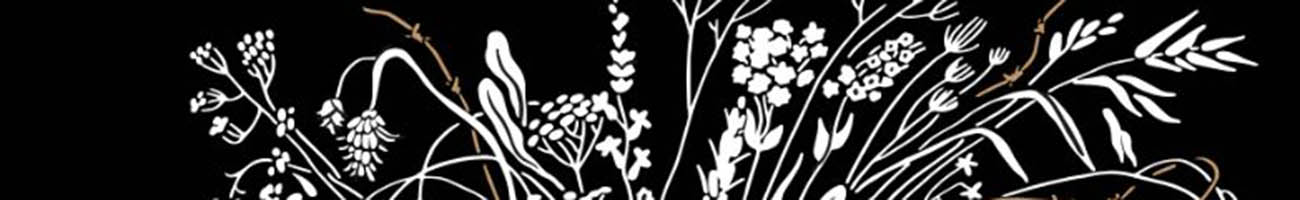 organization banner