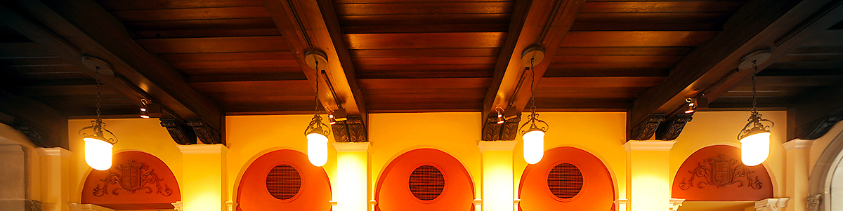 organization banner