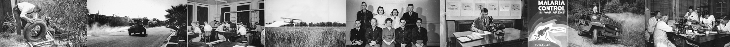 organization banner