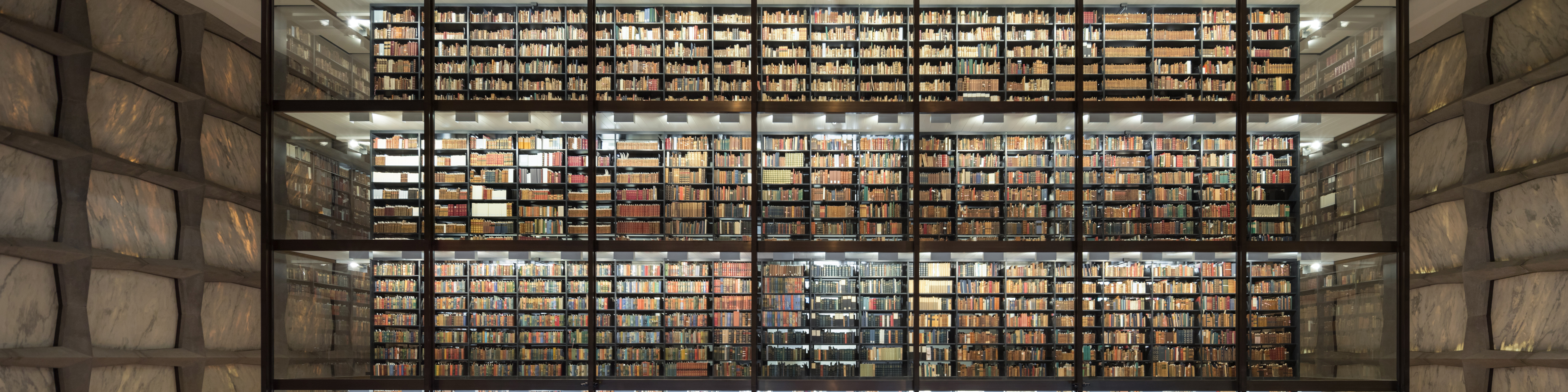organization banner