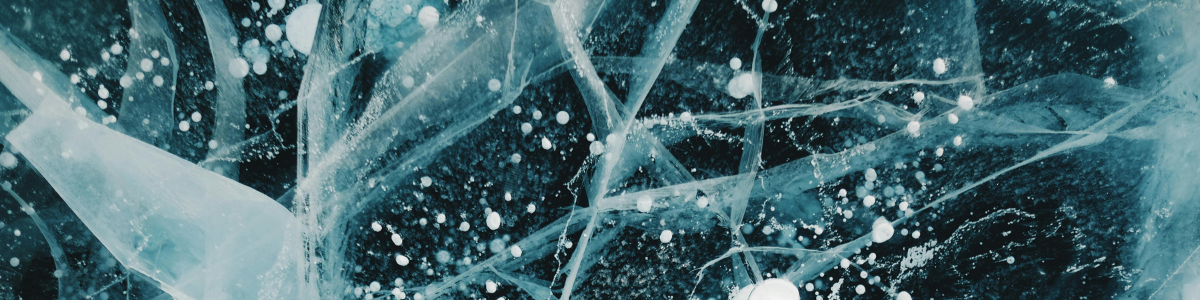 organization banner